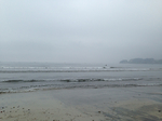 1FC5D835-E41C-4867-BEEC-9BB957527354.jpg