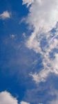 2946BE20-4CCD-4E75-9B2C-F0B92C7E1D1C.jpg