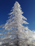 2AEE02B4-FC4D-4779-B01A-6EFAD4C47C9C.jpg