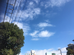 3425983A-503C-4844-91DC-AB351DBCAF82.jpg