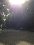8D1C842C-E4A1-4933-A00B-BEE779B506D6.jpg