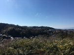 99D135CE-AFA9-481D-A9F4-5D7CFF8001D3.jpg