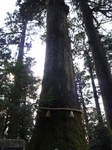 箱根神社2012 006.jpg