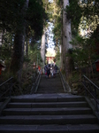 箱根神社2012 007.jpg